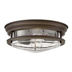 Hadley Clear Glass Ceiling Light Fixture - Oil Rubbed Bronze / Clear