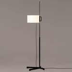 TMC Floor Lamp - Black / White