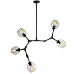 Organic Chandelier - Black / Clear