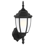 Bakersville Outdoor Wall Light - Black / Satin Etched