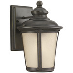 Cape May Outdoor Dark Sky Wall Light - Burled Iron / Light Amber