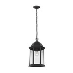 Sevier Outdoor Pendant - Black / Clear