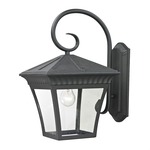 Ridgewood Outdoor Wall Light - Matte Black / Clear