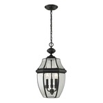 Ashford Outdoor Pendant - Black / Clear