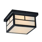 Coldwater White Outdoor Ceiling Light Fixture - Black / White