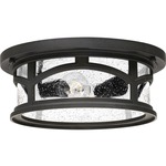 Marblehead Outdoor Ceiling Light - Mystic Black / Clear Seedy