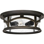 Marblehead Outdoor Ceiling Light - Palladian Bronze / Clear Seedy