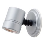 Myra Outdoor Adjustable Wall Spot - Silver / Clear