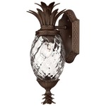 Pineapple 120V Outdoor Wall Sconce - Copper Bronze / Clear Optic