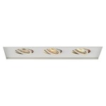 Low Voltage 3-Light Multiple Spot Invisible Trim - White