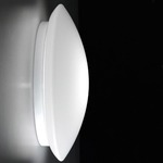 Bis Wall / Ceiling Mount - White / Satin Opal