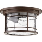 Larson Outdoor Ceiling Light Fixture - Oiled Bronze / Clear Hammered