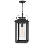 Atwater 120V Outdoor Pendant - Black / Clear Seedy