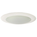 Opal Surface Mount / Retrofit Fixture - White / White