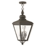 Cambridge Outdoor Pendant - Black / Clear Water