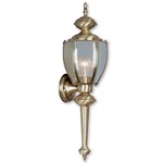 Basics Outdoor Wall Light - Antique Brass / Clear