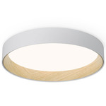 Duo Ceiling Light Fixture - Matte White