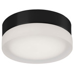 Bedford Ceiling Light - Black / Frosted