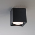 Dau Spot Ceiling Light Fixture - Black Satin Aluminum