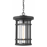 Jordan Outdoor Pendant - Black / Clear Seedy