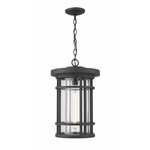 Jordan Outdoor Pendant - Oil Rubbed Bronze / Clear Seedy