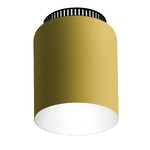 Aspen C17 Ceiling Light - Black / Lemon