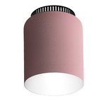 Aspen C17 Ceiling Light - Black / Rose