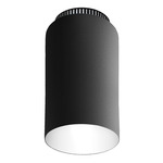 Aspen C17 Ceiling Light - Black / Grey