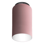 Aspen C17 Ceiling Light - Black / Rose