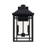 Braden Outdoor Wall Light - Black / Clear