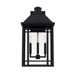 Braden Outdoor Wall Light - Black / Clear