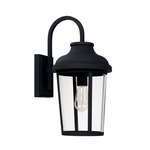 Dunbar 1 Light Outdoor Wall Sconce - Black / Clear