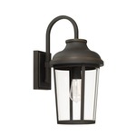 Dunbar 1 Light Outdoor Wall Sconce - Oiled Bronze / Clear