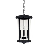 Howell Outdoor Pendant - Black / Clear