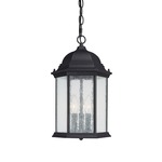 Main Street Outdoor Pendant - Black / Clear Seeded