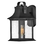 Grant Outdoor Wall Sconce - Textured Black / Clear Seedy