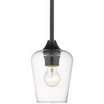 Joliet Mini Pendant - Matte Black / Clear