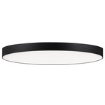 Trim Round 120V Ceiling Light - Black / White