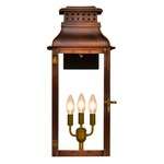 Palmetto Street Outdoor Wall Light - Antique Copper / Clear