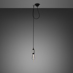 Hooked 1.0 Pendant - Steel