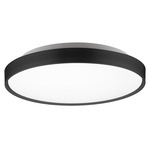 Brunswick Flush Ceiling Light - Black / Frosted