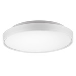 Brunswick Flush Ceiling Light - White / Frosted