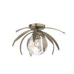Dahlia Globe Ceiling Light Fixture - Soft Gold / Water Glass