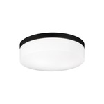 Xenon Flush Ceiling Light - Black / White