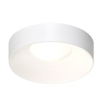 Ilios Ceiling Light Fixture - Satin White / Frosted