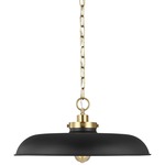 Wellfleet Pendant - Burnished Brass / Midnight Black