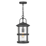 Lakehouse 120V Outdoor Pendant - Black / Clear Seedy