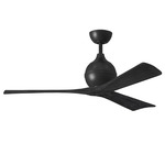 Irene Ceiling Fan - Matte Black / Matte Black