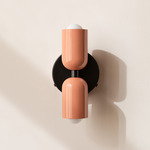 Up Down Wall Sconce - Black Canopy / Peach Upper Shade