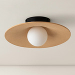 Alien Orb Surface Mount - Black Canopy / Tan Clay